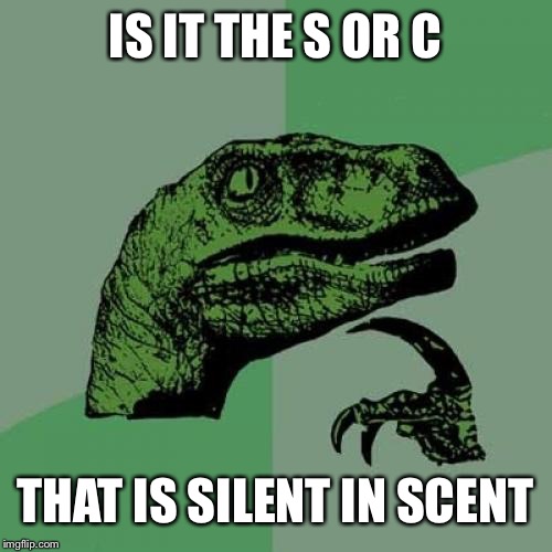 Philosoraptor | IS IT THE S OR C; THAT IS SILENT IN SCENT | image tagged in memes,philosoraptor | made w/ Imgflip meme maker