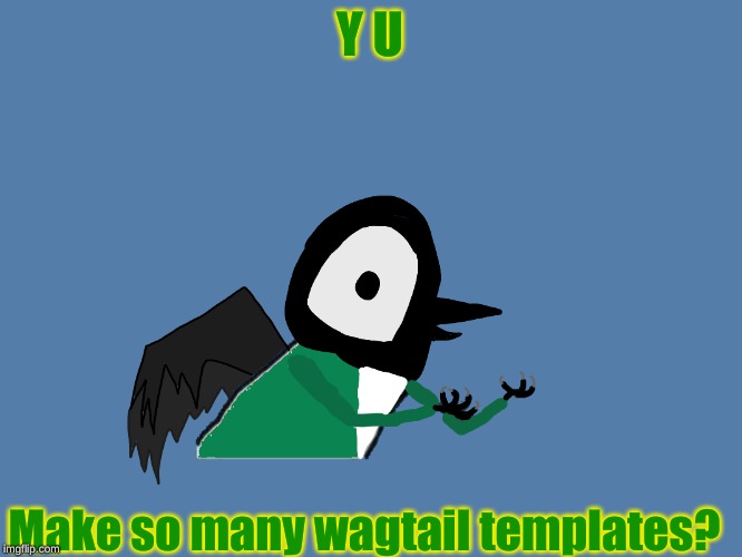 Y U Make so many wagtail templates? | image tagged in y u no pied wagtail | made w/ Imgflip meme maker