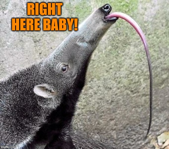 RIGHT HERE BABY! | made w/ Imgflip meme maker