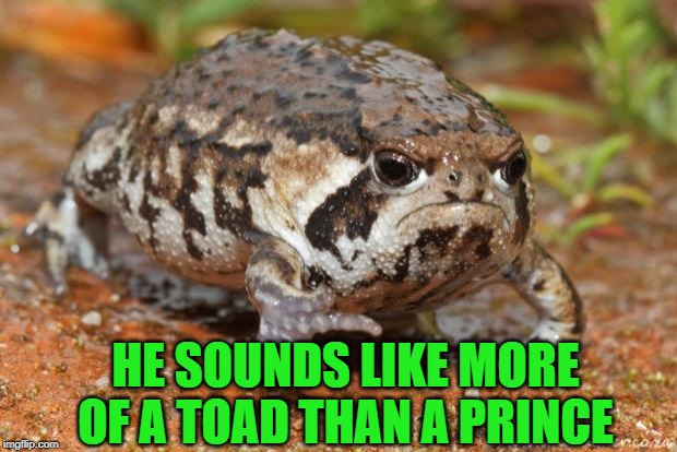 Grumpy Toad Meme | HE SOUNDS LIKE MORE OF A TOAD THAN A PRINCE | image tagged in memes,grumpy toad | made w/ Imgflip meme maker