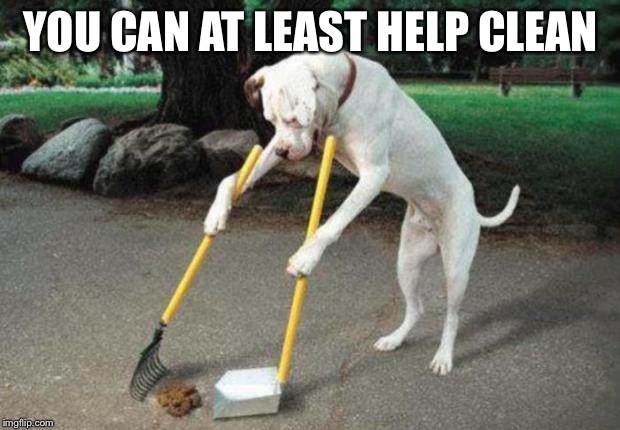 Dog poop | YOU CAN AT LEAST HELP CLEAN | image tagged in dog poop | made w/ Imgflip meme maker