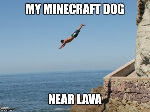 Cliff Diver | MY MINECRAFT DOG; NEAR LAVA | image tagged in cliff diver | made w/ Imgflip meme maker