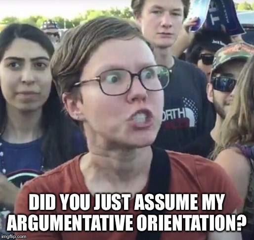 Triggered feminist | DID YOU JUST ASSUME MY ARGUMENTATIVE ORIENTATION? | image tagged in triggered feminist | made w/ Imgflip meme maker