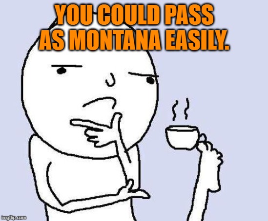 thinking meme | YOU COULD PASS AS MONTANA EASILY. | image tagged in thinking meme | made w/ Imgflip meme maker