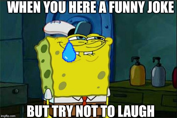 Don't You Squidward | WHEN YOU HERE A FUNNY JOKE; BUT TRY NOT TO LAUGH | image tagged in memes,dont you squidward | made w/ Imgflip meme maker