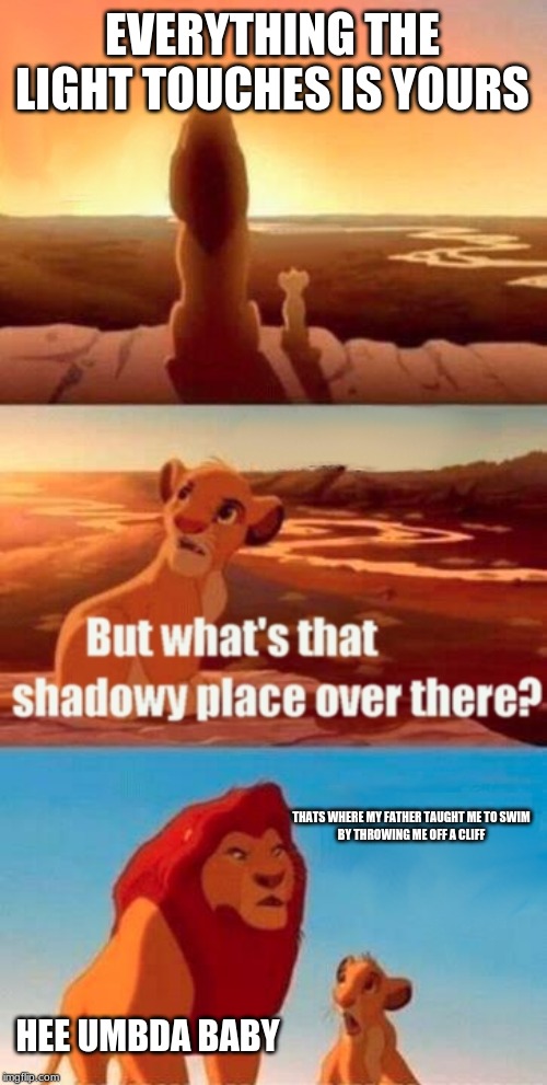 Simba Shadowy Place | EVERYTHING THE LIGHT TOUCHES IS YOURS; THATS WHERE MY FATHER TAUGHT ME TO SWIM


BY THROWING ME OFF A CLIFF; HEE UMBDA BABY | image tagged in memes,simba shadowy place | made w/ Imgflip meme maker