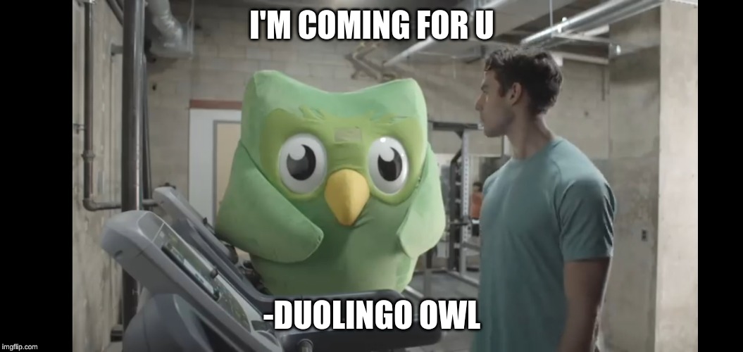 At the gym | I'M COMING FOR U; -DUOLINGO OWL | image tagged in at the gym | made w/ Imgflip meme maker