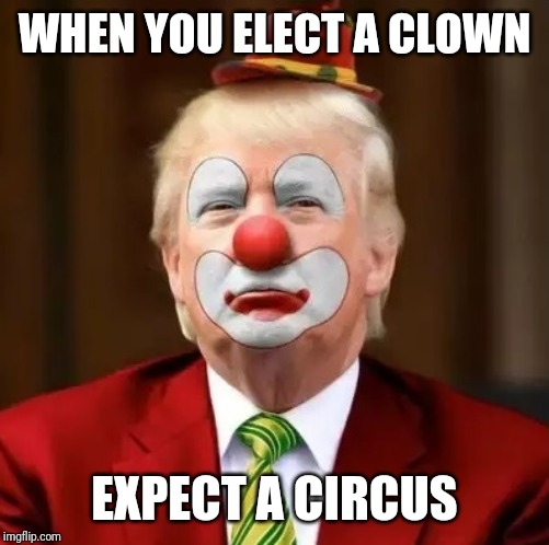 Donald Trump Clown | WHEN YOU ELECT A CLOWN; EXPECT A CIRCUS | image tagged in donald trump clown | made w/ Imgflip meme maker