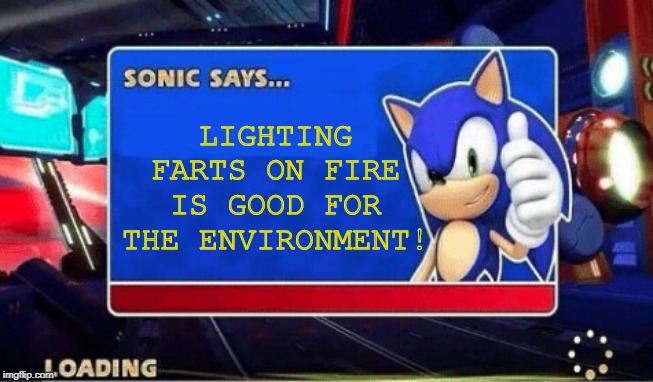 Flame On!!! | LIGHTING FARTS ON FIRE IS GOOD FOR THE ENVIRONMENT! | image tagged in sonic says | made w/ Imgflip meme maker