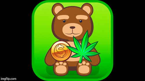Money weed bear | image tagged in gifs,420 | made w/ Imgflip images-to-gif maker