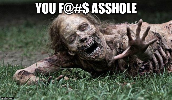 Walking Dead Zombie | YOU F@#$ ASSHOLE | image tagged in walking dead zombie | made w/ Imgflip meme maker