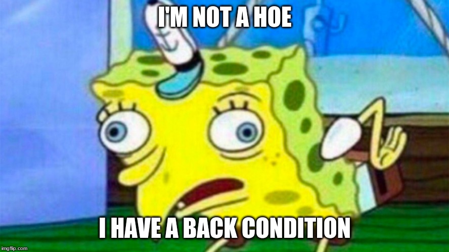 I'M NOT A HOE; I HAVE A BACK CONDITION | image tagged in spongebob | made w/ Imgflip meme maker