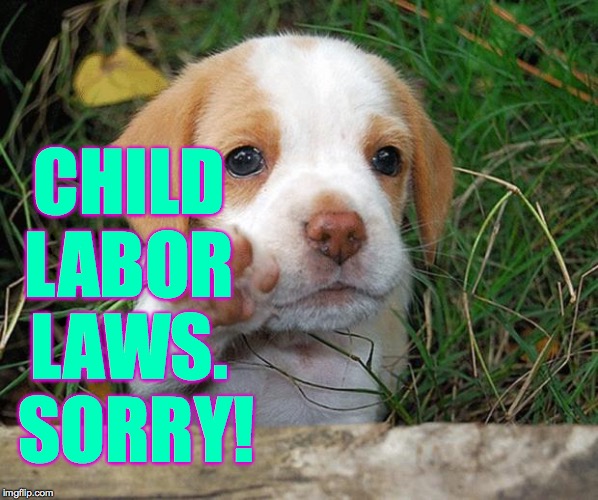 dog puppy bye | CHILD LABOR LAWS.  SORRY! | image tagged in dog puppy bye | made w/ Imgflip meme maker