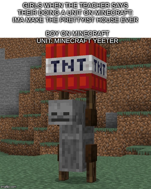 Tnt yeeter | BOY ON MINECRAFT UNIT: MINECRAFT YEETER; GIRLS WHEN THE TEACHER SAYS THEIR DOING A UNIT ON MINECRAFT: IMA MAKE THE PRETTYIST HOUSE EVER | image tagged in tnt yeeter | made w/ Imgflip meme maker