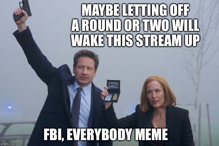 MAYBE LETTING OFF A ROUND OR TWO WILL WAKE THIS STREAM UP; FBI, EVERYBODY MEME | made w/ Imgflip meme maker