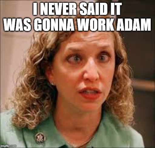 Debbie The Cheat | I NEVER SAID IT WAS GONNA WORK ADAM | image tagged in debbie the cheat | made w/ Imgflip meme maker