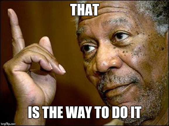 This Morgan Freeman | THAT IS THE WAY TO DO IT | image tagged in this morgan freeman | made w/ Imgflip meme maker