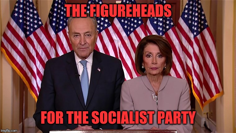 Spineless and Clueless | THE FIGUREHEADS; FOR THE SOCIALIST PARTY | image tagged in pelosi and schumer,socialists | made w/ Imgflip meme maker