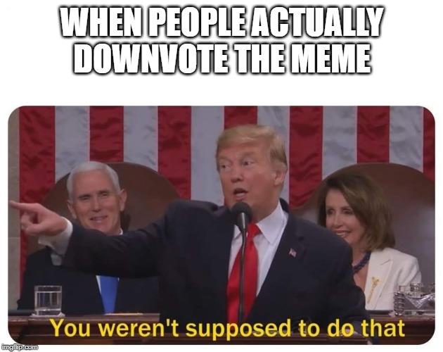 You weren't supposed to do that | WHEN PEOPLE ACTUALLY DOWNVOTE THE MEME | image tagged in you weren't supposed to do that | made w/ Imgflip meme maker