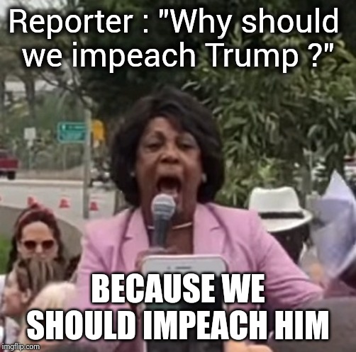 Maxine Waters | Reporter : "Why should 
we impeach Trump ?" BECAUSE WE SHOULD IMPEACH HIM | image tagged in maxine waters | made w/ Imgflip meme maker