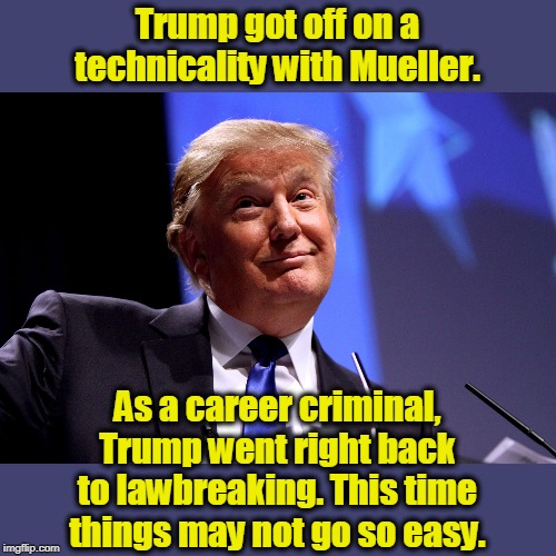 A smart guy would lie low for a while and give it a rest. Not our Trump. | Trump got off on a technicality with Mueller. As a career criminal, Trump went right back to lawbreaking. This time things may not go so easy. | image tagged in donald trump no2,criminal,trump,lawbreaker | made w/ Imgflip meme maker
