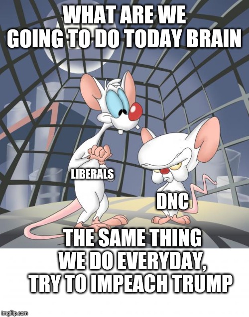 Pinky and the brain | WHAT ARE WE GOING TO DO TODAY BRAIN; LIBERALS; THE SAME THING WE DO EVERYDAY, TRY TO IMPEACH TRUMP; DNC | image tagged in pinky and the brain | made w/ Imgflip meme maker