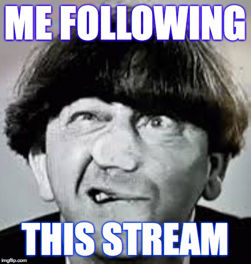 I'm learning a lot about politics  ( : | ME FOLLOWING; THIS STREAM | image tagged in memes,moe,politics | made w/ Imgflip meme maker