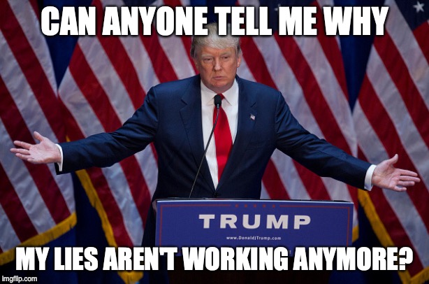 Donald Trump | CAN ANYONE TELL ME WHY; MY LIES AREN'T WORKING ANYMORE? | image tagged in donald trump | made w/ Imgflip meme maker