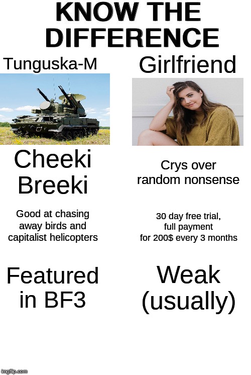 Girlfriend V.S Tunguska-M | Girlfriend; Tunguska-M; Cheeki Breeki; Crys over random nonsense; Good at chasing away birds and capitalist helicopters; 30 day free trial, full payment for 200$ every 3 months; Weak (usually); Featured in BF3 | image tagged in know the difference,funny,memes | made w/ Imgflip meme maker