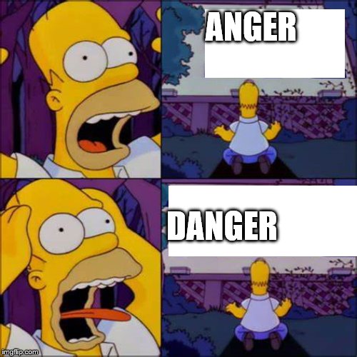 Go quietly into that cover of night knight in honor and patience. | ANGER; DANGER | image tagged in homer simpson,danger,anger | made w/ Imgflip meme maker
