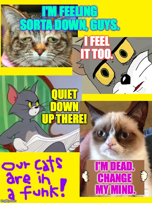 It's our cats, Marty!  Something's gotta be done about our cats! | I'M FEELING SORTA DOWN, GUYS. I FEEL IT TOO. QUIET DOWN
UP THERE! I'M DEAD.
CHANGE  MY MIND. | image tagged in yellow meme,memes,cats,funky | made w/ Imgflip meme maker