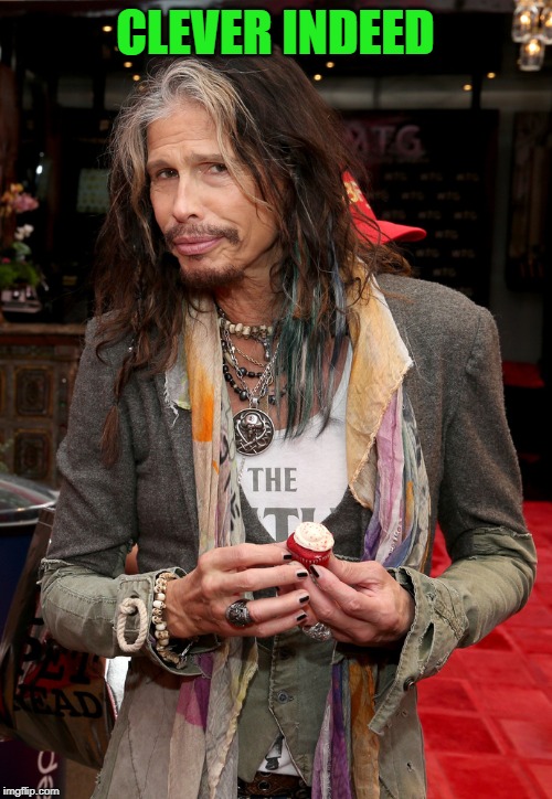 Steven Tyler | CLEVER INDEED | image tagged in steven tyler | made w/ Imgflip meme maker