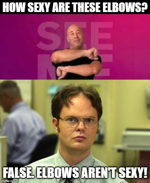 No, They're Not! | HOW SEXY ARE THESE ELBOWS? FALSE. ELBOWS AREN'T SEXY! | image tagged in memes,dwight schrute | made w/ Imgflip meme maker