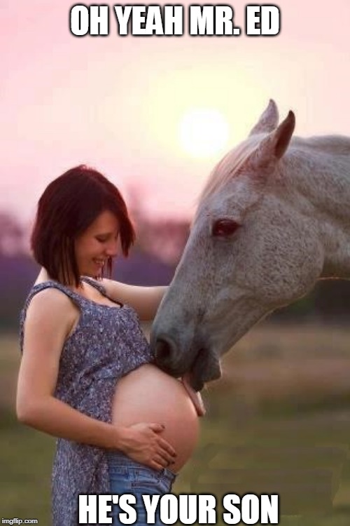 MR. ED IS HAPPY | OH YEAH MR. ED; HE'S YOUR SON | image tagged in horse,pregnant woman | made w/ Imgflip meme maker
