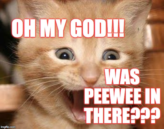 Excited Cat Meme | OH MY GOD!!! WAS PEEWEE IN THERE??? | image tagged in memes,excited cat | made w/ Imgflip meme maker