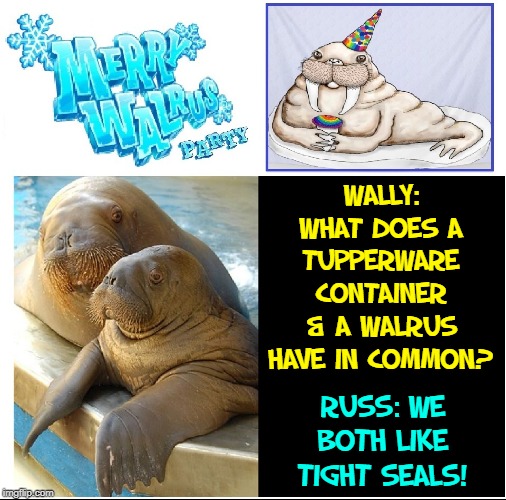 Walrus Party Humor | WALLY: WHAT DOES A TUPPERWARE CONTAINER & A WALRUS HAVE IN COMMON? RUSS: WE BOTH LIKE TIGHT SEALS! | image tagged in vince vance,walrus,tight,seals,tupperware,i am the walrus | made w/ Imgflip meme maker