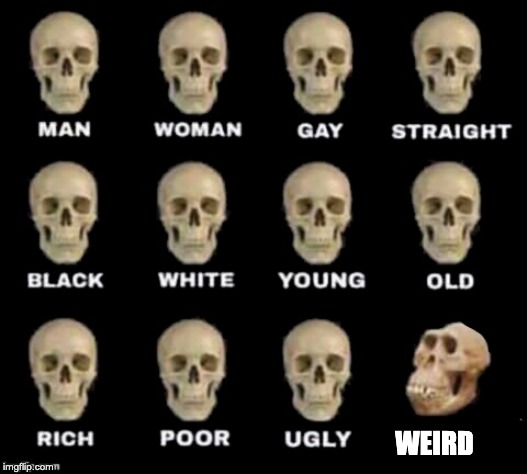 WEIRD | image tagged in idiot skull | made w/ Imgflip meme maker