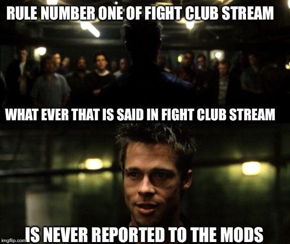 I can see this becoming a thing lol | RULE NUMBER ONE OF FIGHT CLUB STREAM; WHAT EVER THAT IS SAID IN FIGHT CLUB STREAM; IS NEVER REPORTED TO THE MODS | image tagged in first rule of the fight club | made w/ Imgflip meme maker