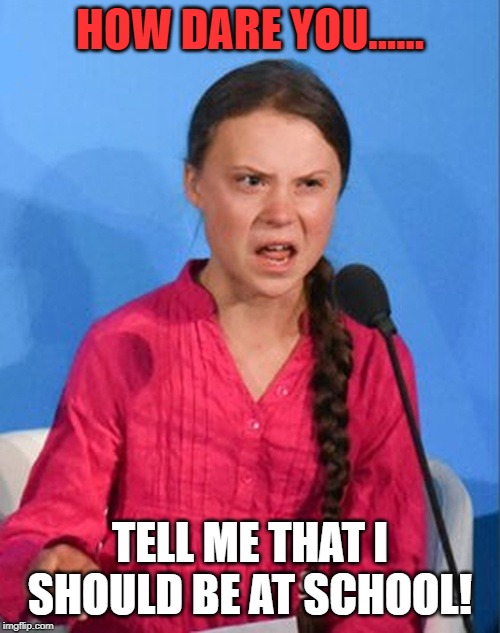 Greta Thunberg how dare you | HOW DARE YOU...... TELL ME THAT I SHOULD BE AT SCHOOL! | image tagged in greta thunberg how dare you | made w/ Imgflip meme maker