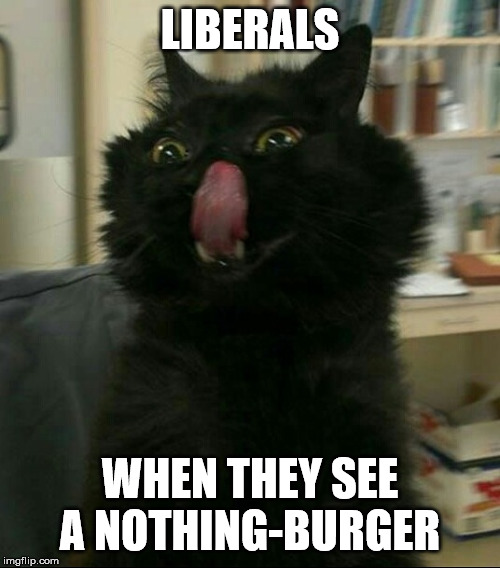 Liberals Nothingburger | LIBERALS; WHEN THEY SEE A NOTHING-BURGER | image tagged in liberals,liberal logic | made w/ Imgflip meme maker