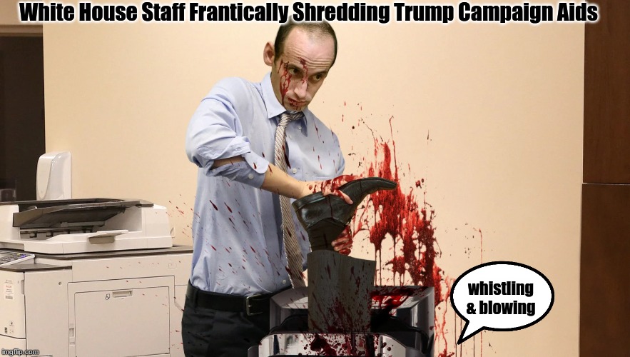 politician vicious | White House Staff Frantically Shredding Trump Campaign Aids; whistling & blowing | image tagged in stephen miller,caturday,dr evil laser | made w/ Imgflip meme maker