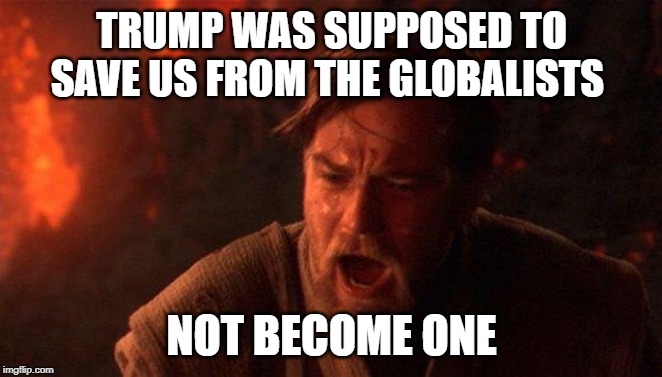 Holy Sith | TRUMP WAS SUPPOSED TO SAVE US FROM THE GLOBALISTS; NOT BECOME ONE | image tagged in memes,you were the chosen one star wars,donald trump,trump impeachment,ukraine,joe biden | made w/ Imgflip meme maker