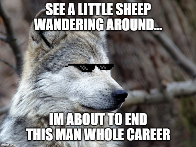 Hungry Wolf | SEE A LITTLE SHEEP WANDERING AROUND... IM ABOUT TO END THIS MAN WHOLE CAREER | image tagged in hungry wolf | made w/ Imgflip meme maker