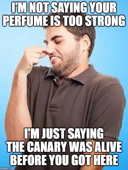 Strong Odor | I'M NOT SAYING YOUR PERFUME IS TOO STRONG; I'M JUST SAYING THE CANARY WAS ALIVE BEFORE YOU GOT HERE | image tagged in that's stinky man | made w/ Imgflip meme maker