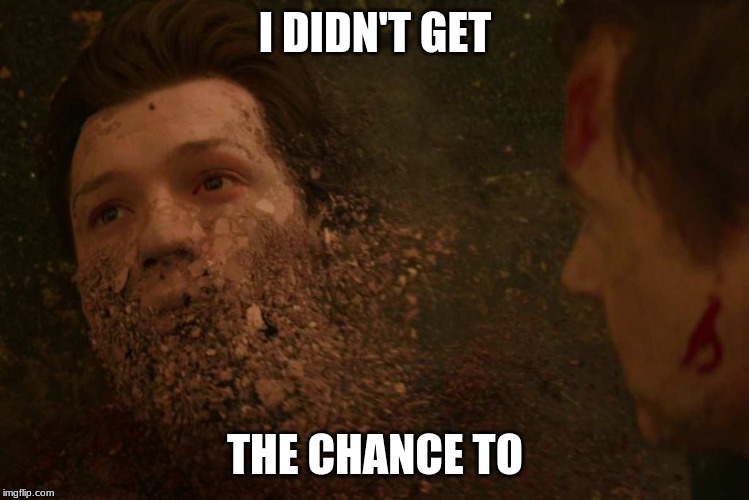 Peter Parker Dust | I DIDN'T GET THE CHANCE TO | image tagged in peter parker dust | made w/ Imgflip meme maker