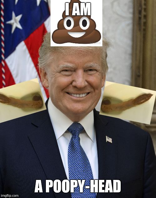 He's 80% poo | I AM; A POOPY-HEAD | image tagged in smug trump,evil,mean,stole her election,pure poopyness | made w/ Imgflip meme maker