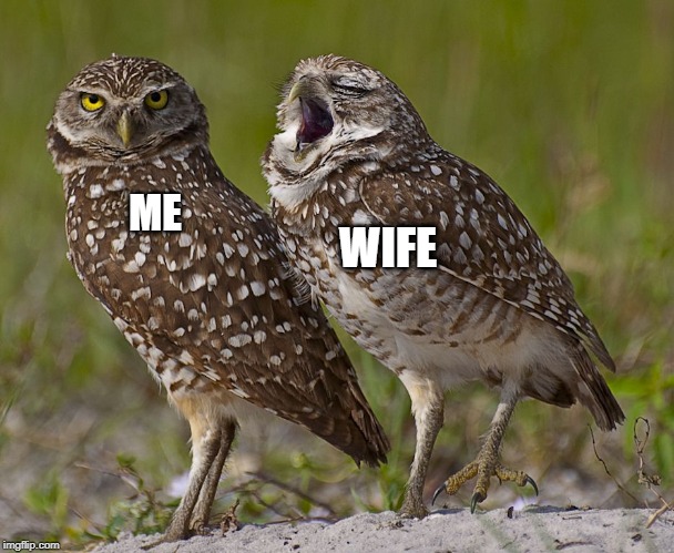 ME; WIFE | image tagged in talking,wife | made w/ Imgflip meme maker