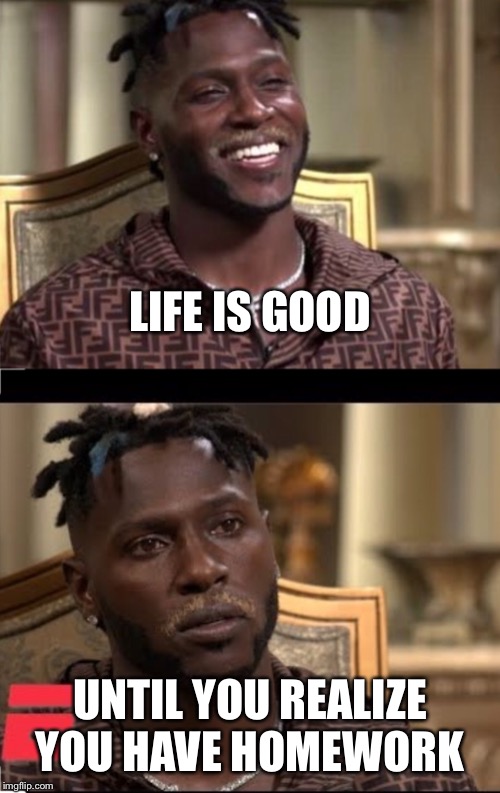 Antonio Brown | LIFE IS GOOD; UNTIL YOU REALIZE YOU HAVE HOMEWORK | image tagged in antonio brown,funny memes,gifs,nfl memes,nfl,nfl football | made w/ Imgflip meme maker