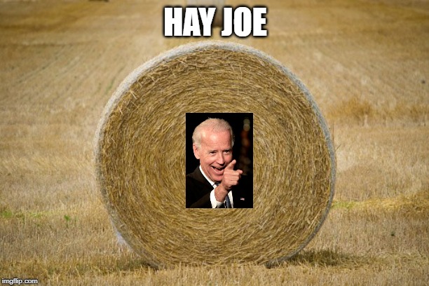 HAY JOE | made w/ Imgflip meme maker