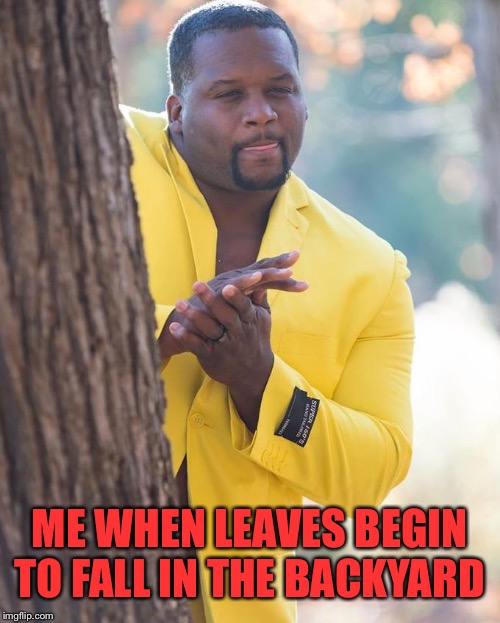You know it's fall | ME WHEN LEAVES BEGIN TO FALL IN THE BACKYARD | image tagged in anthony adams rubbing hands,exited,fall | made w/ Imgflip meme maker
